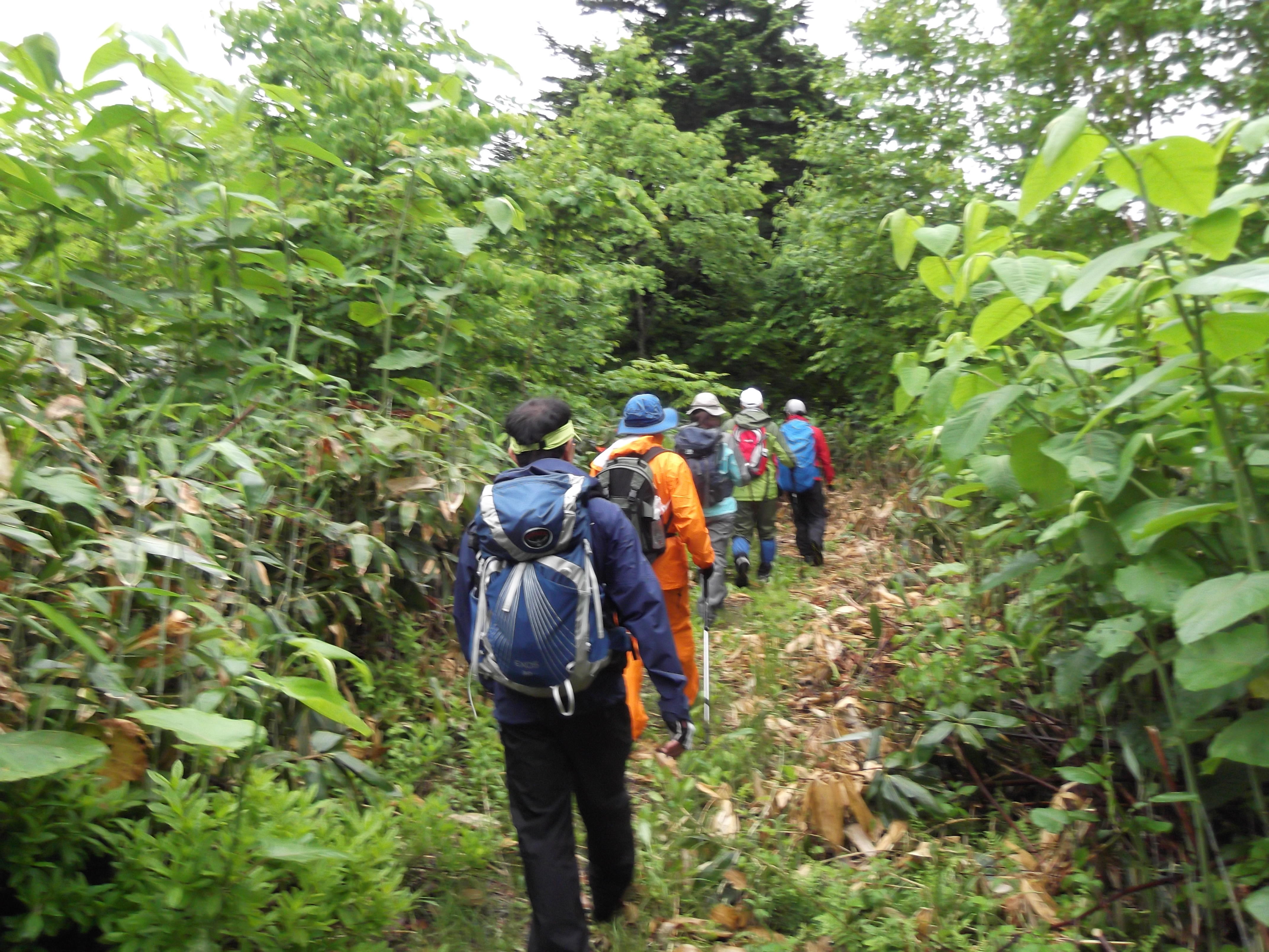 始めよう登山ー 081.JPG