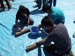 H30ベンチ塗装としいたけホダ木づくり 026.JPG