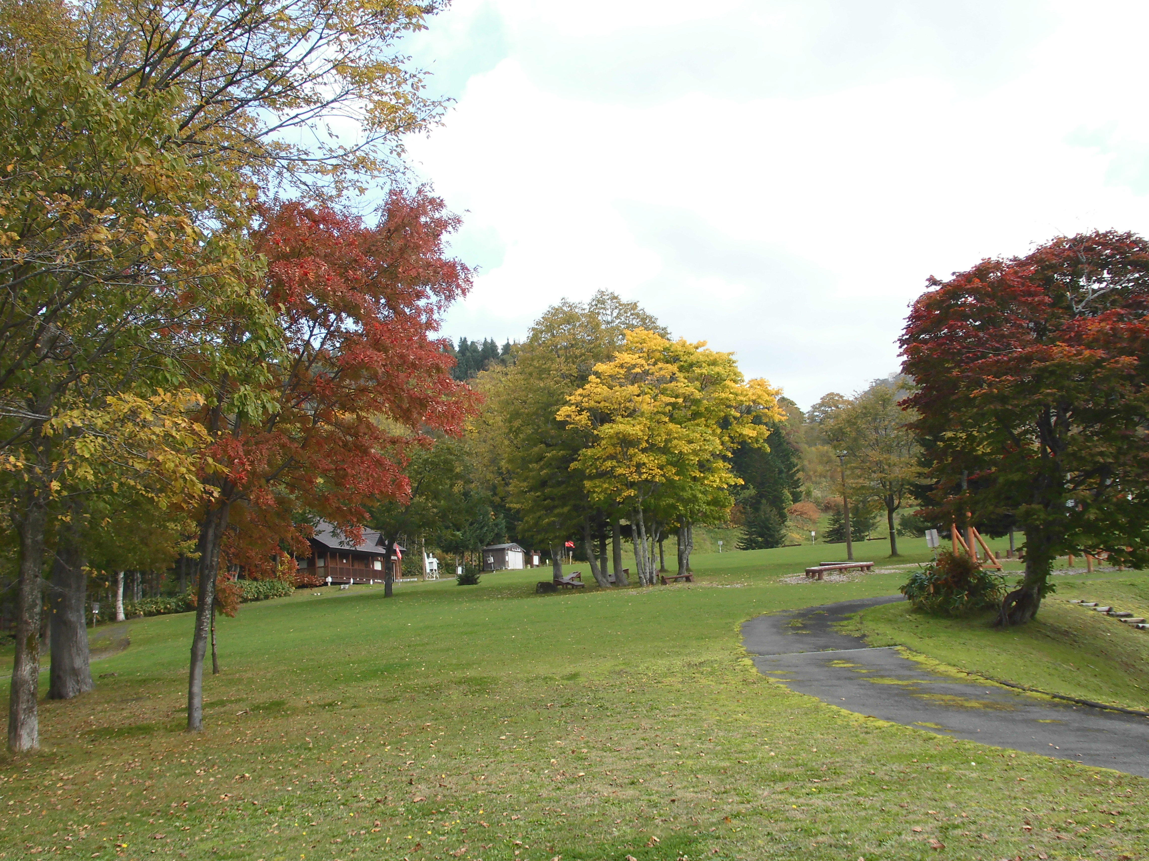 CIMG0309.JPG