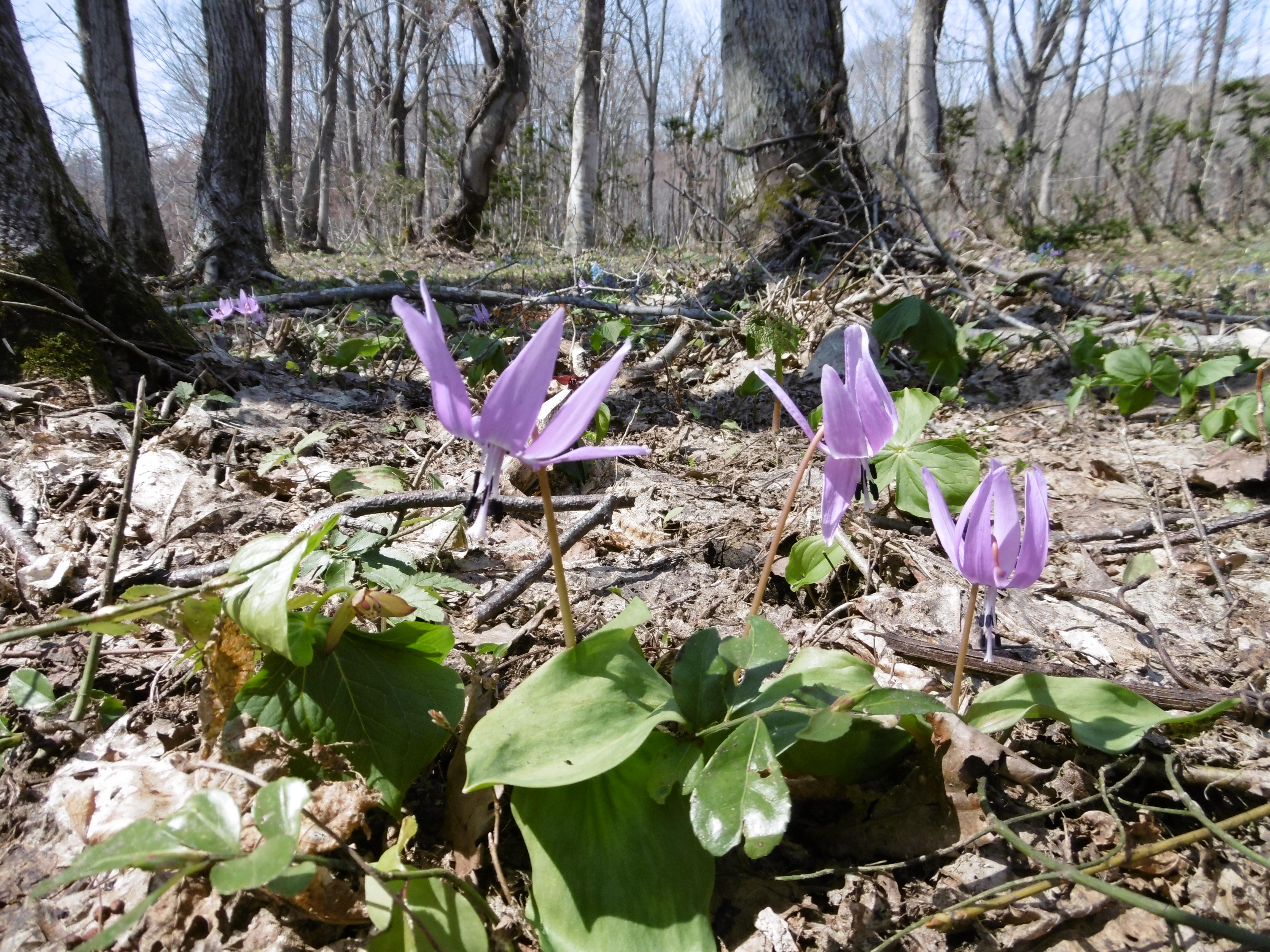 P1000055.JPG