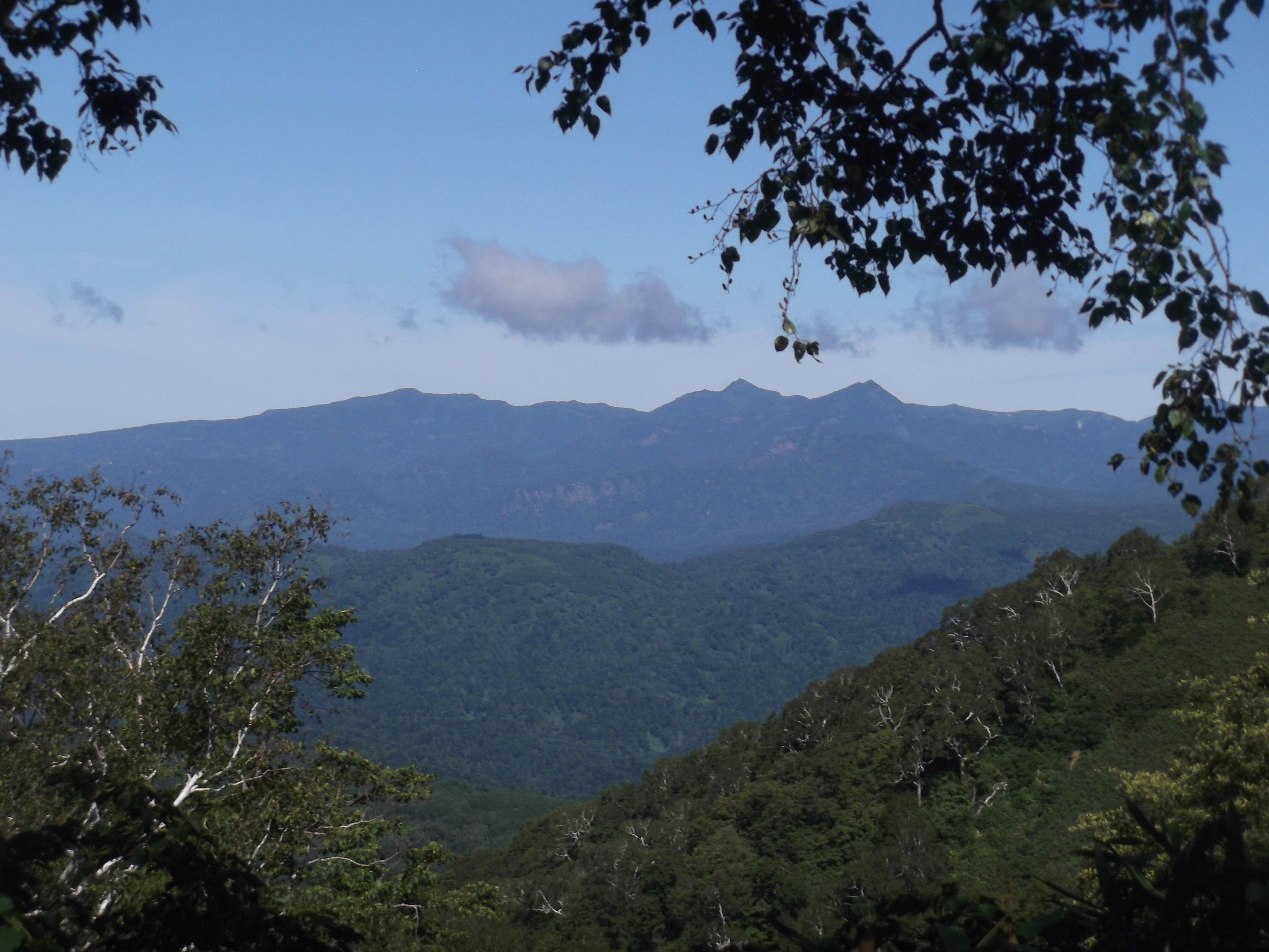 ①Ｒ４、８，１９DSCF8342.JPG