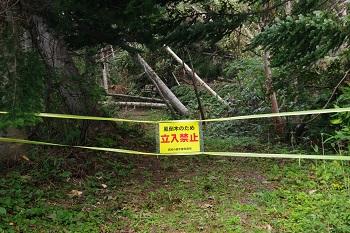 ファミリー登山道③.jpg