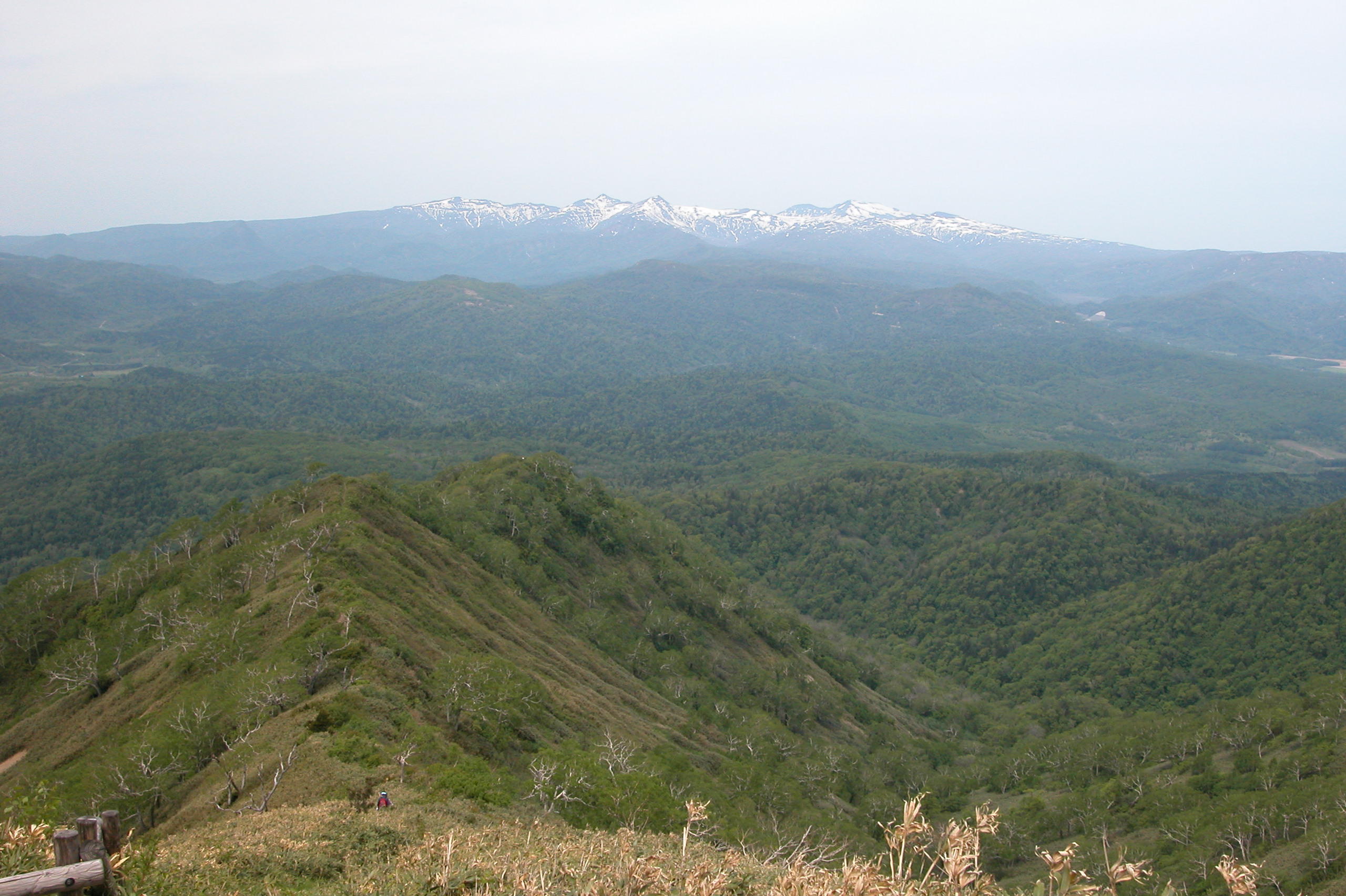 神居尻から暑寒別　１.JPG
