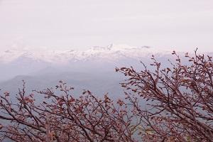 山頂から暑寒を望む.jpg