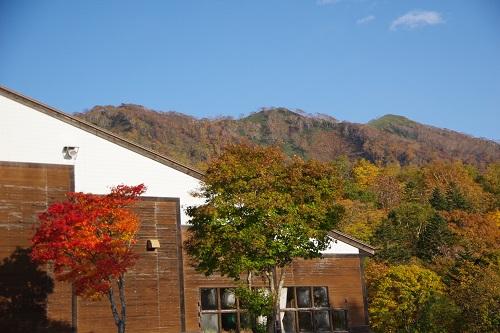 森林学習センター.jpg